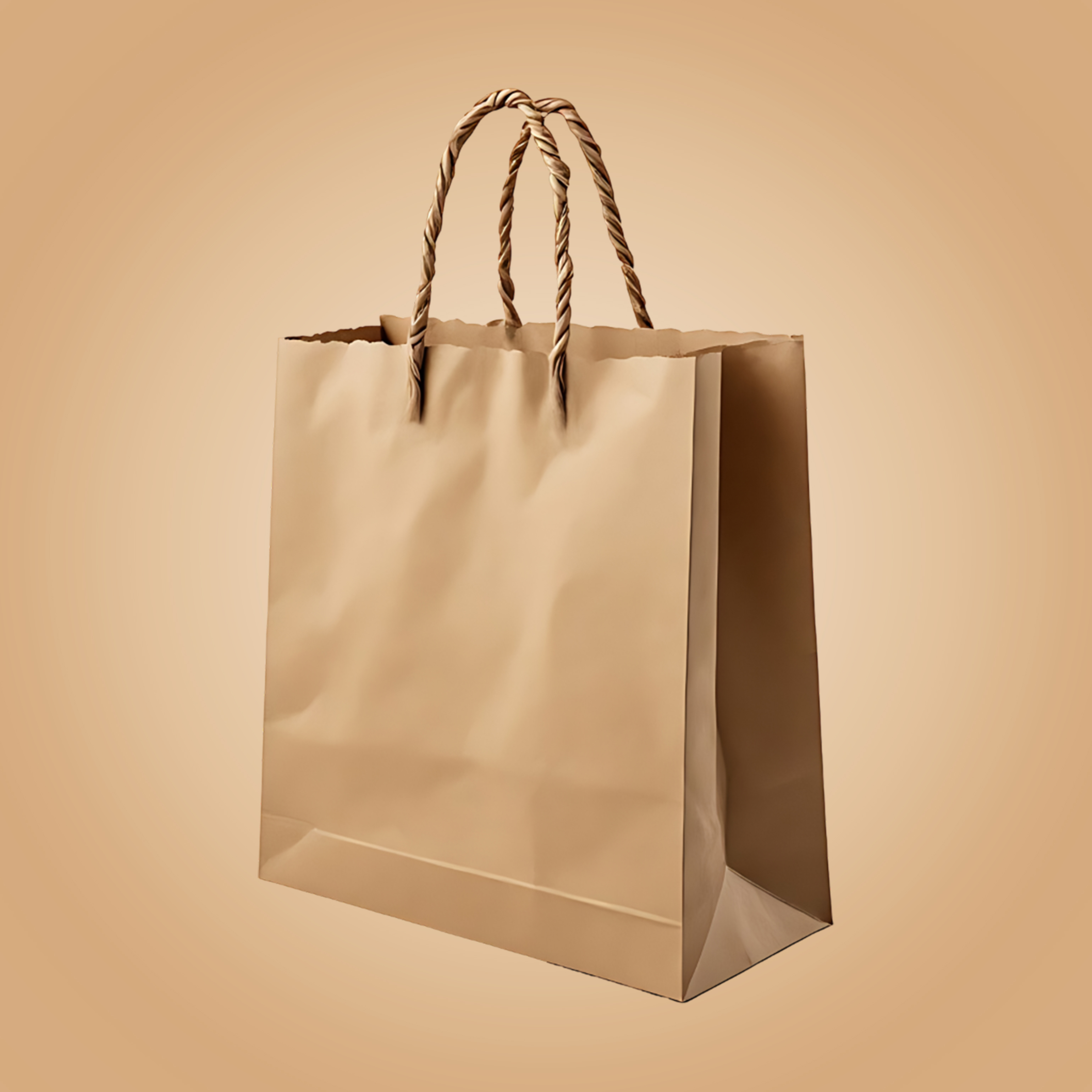 Kraft paper bag with twisted paper handles.
